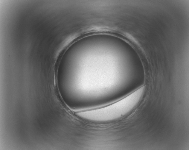X0000066981269200603241035