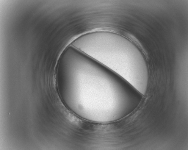 X0000066981284200603241035