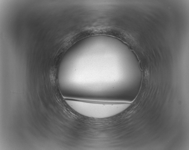 X0000066981300200603241034