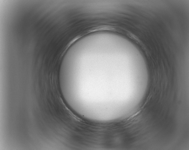 X0000066981321200603241035