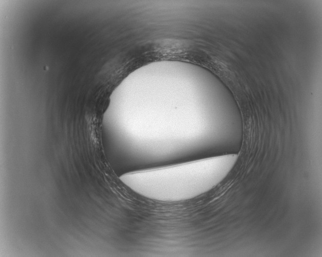 X0000066981346200603241034