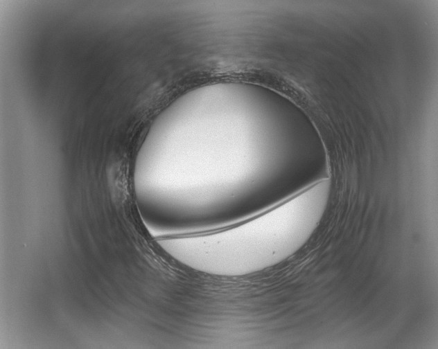 X0000066981348200603241034