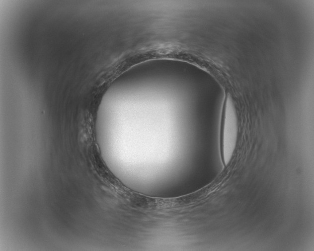 X0000066981349200603241034