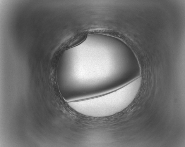 X0000066981351200603241034
