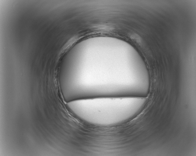 X0000066981354200603241034