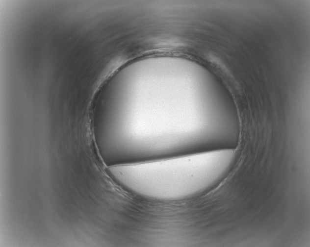 X0000066981362200603241034