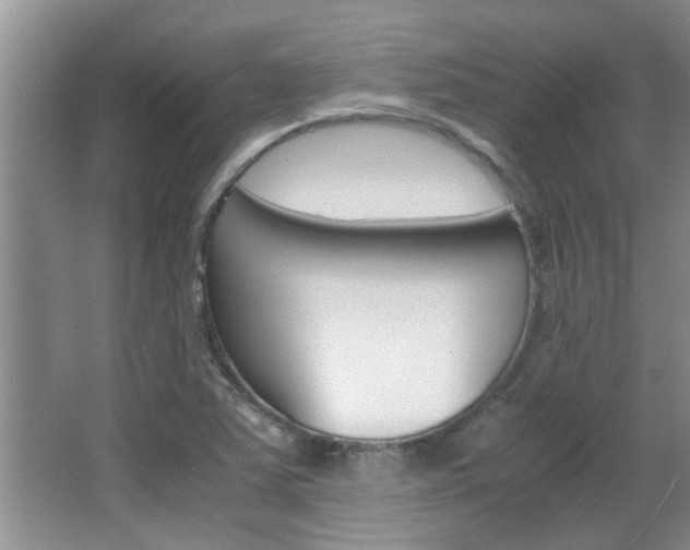 X0000066981363200603241034