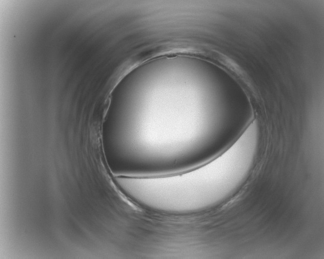 X0000066981377200603241034