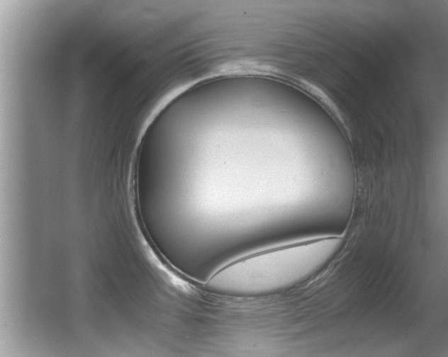 X0000066981387200603241033