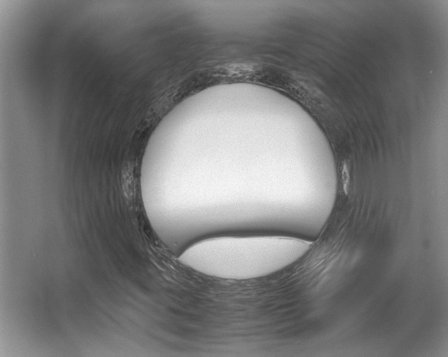 X0000066981395200603241033