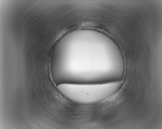 X0000066981401200603241033