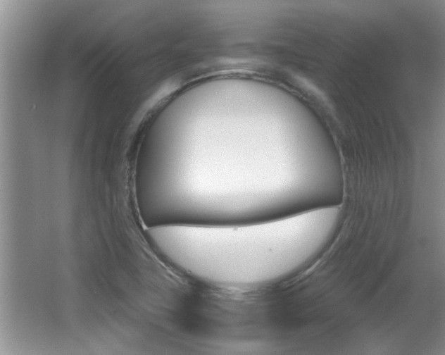 X0000066981411200603241033