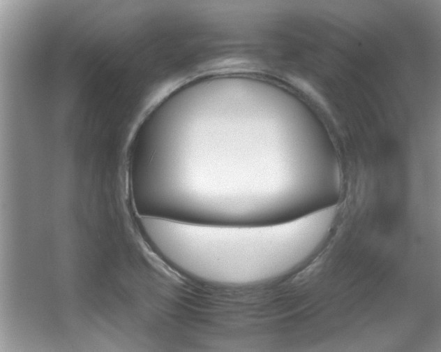 X0000066981413200603241033