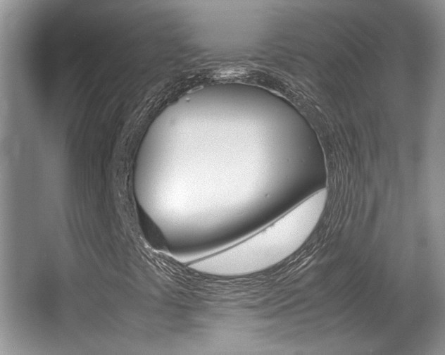 X0000066981441200603241033