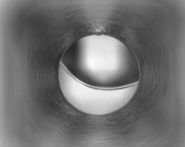X0000066981442200603241033