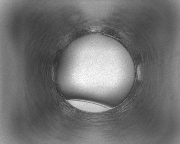 X0000066981443200603241032