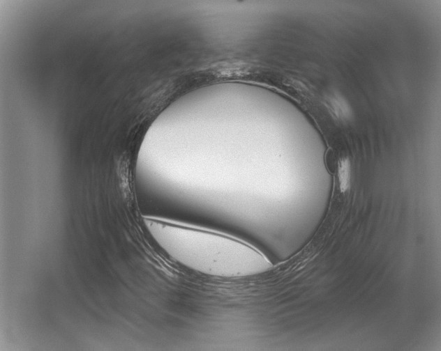 X0000066981444200603241032