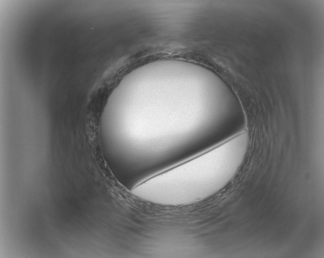 X0000066981447200603241032