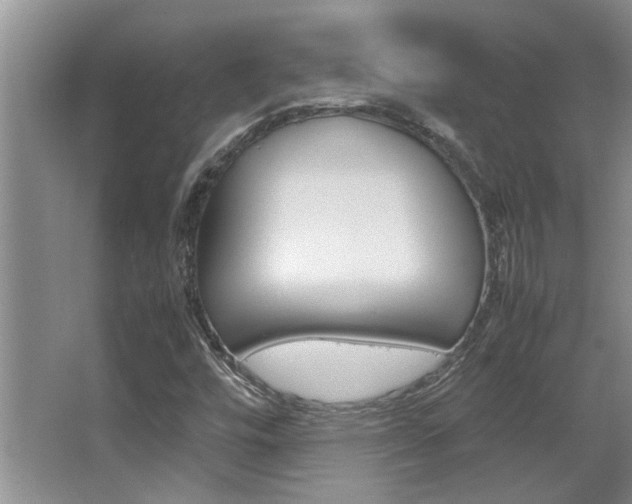 X0000066981448200603241032