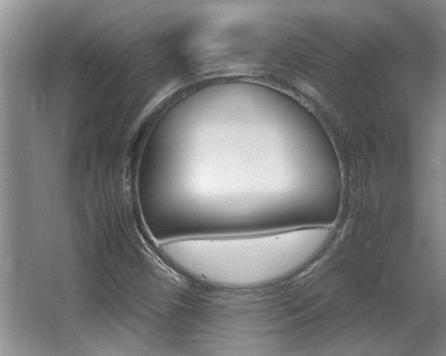 X0000066981450200603241032