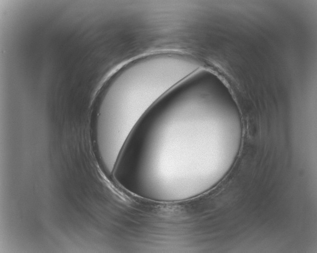 X0000066981452200603241032