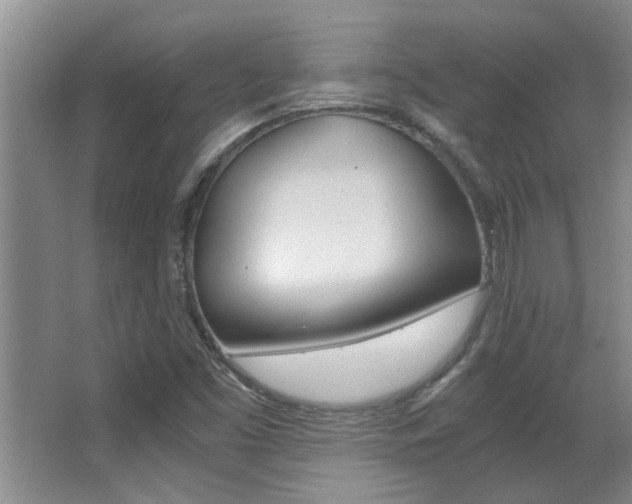 X0000066981453200603241032