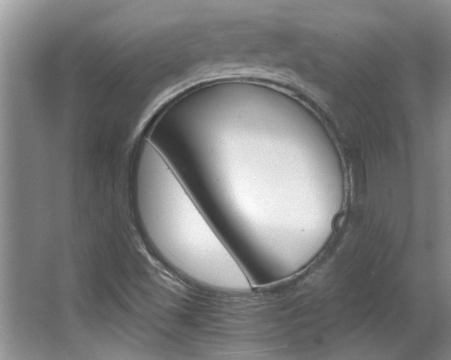 X0000066981501200603241031