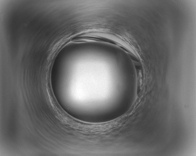 X0000066980001200603241249