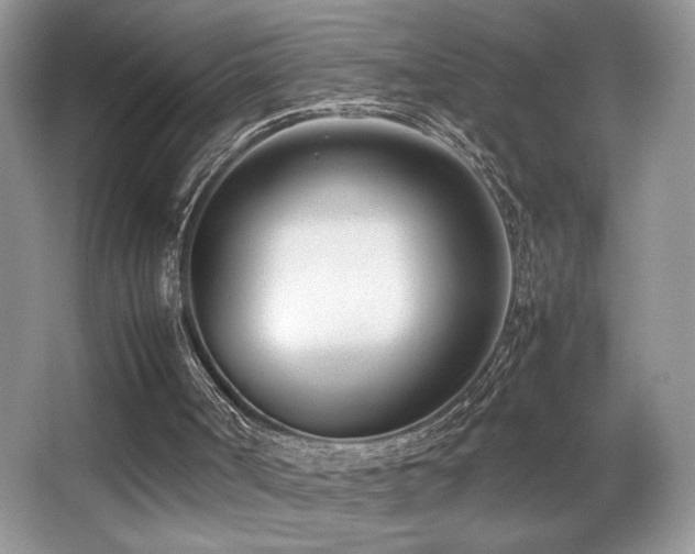 X0000066980002200603241249