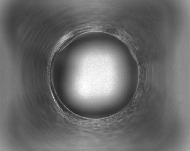 X0000066980003200603241249