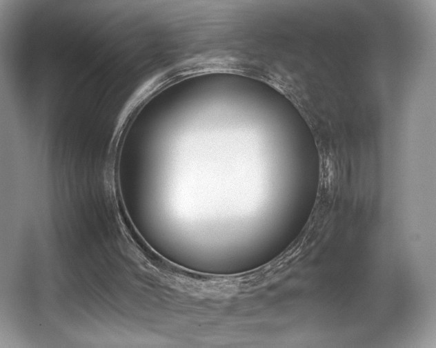 X0000066980004200603241249