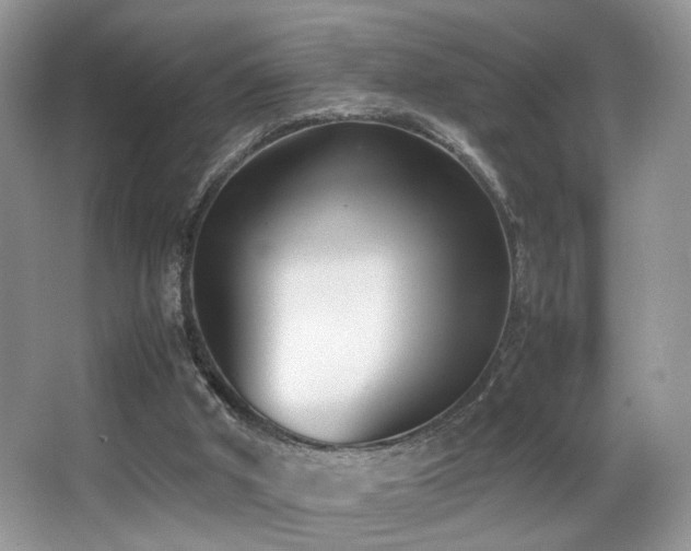 X0000066980010200603241249