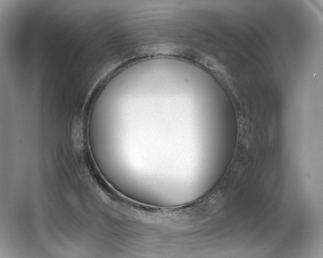 X0000066980012200603241249