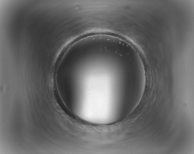 X0000066980015200603241248