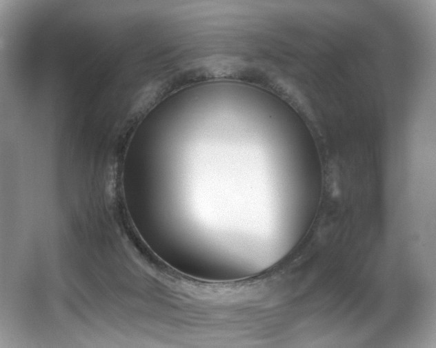 X0000066980018200603241248
