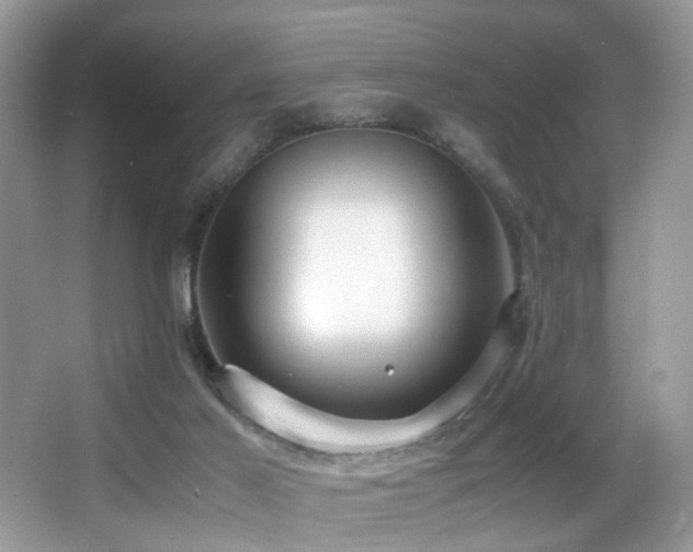 X0000066980021200603241248