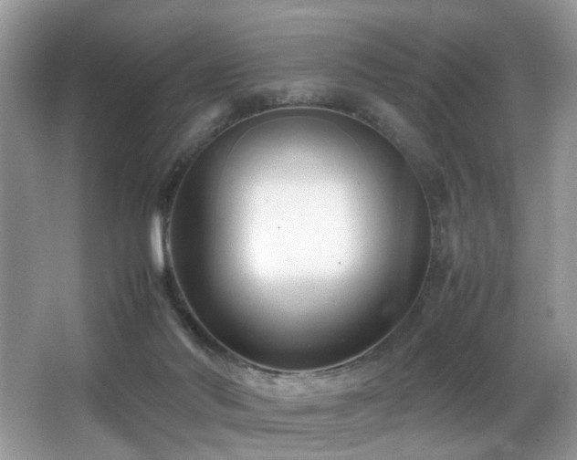 X0000066980022200603241248