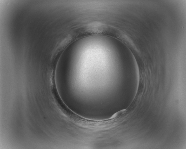 X0000066980023200603241248