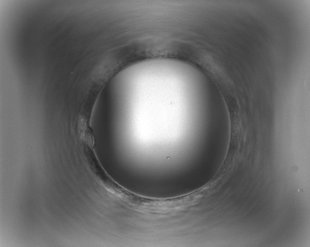 X0000066980025200603241248