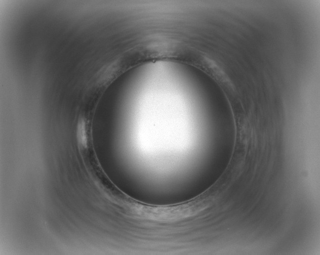 X0000066980026200603241248