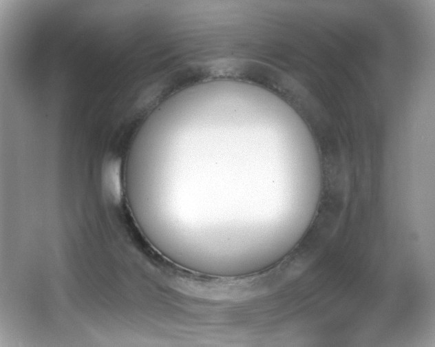 X0000066980028200603241248