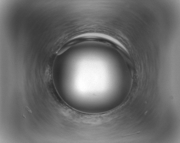 X0000066980029200603241248