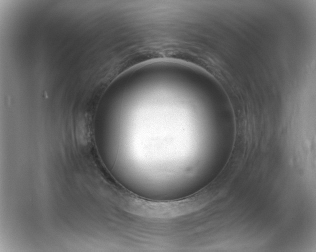 X0000066980030200603241248