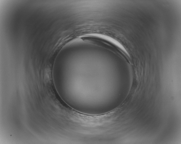 X0000066980035200603241248