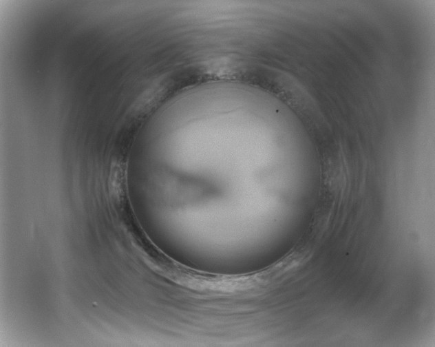 X0000066980036200603241248