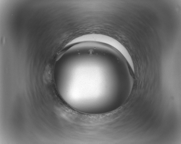 X0000066980037200603241248