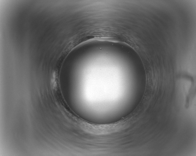 X0000066980038200603241248