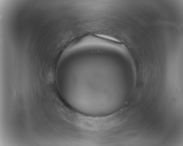 X0000066980039200603241248