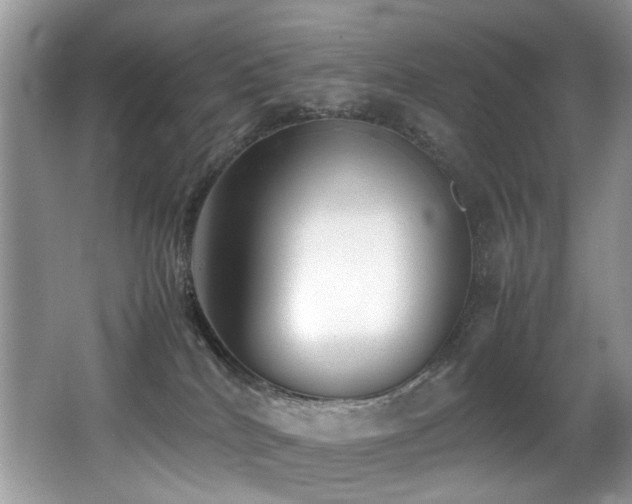 X0000066980040200603241248