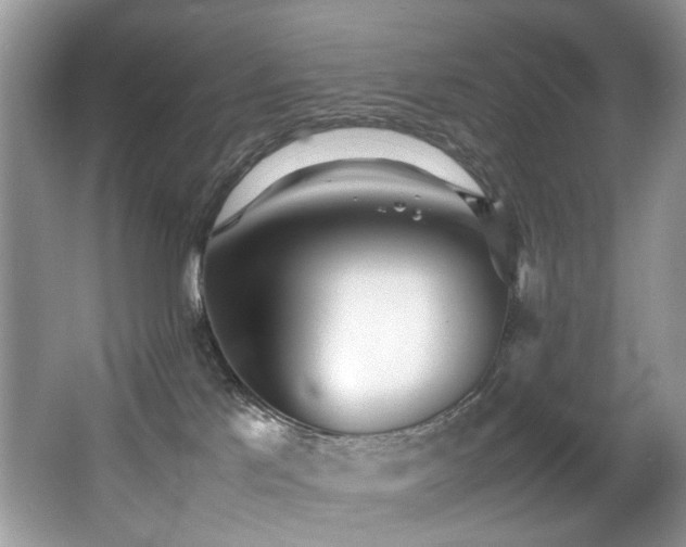 X0000066980041200603241248
